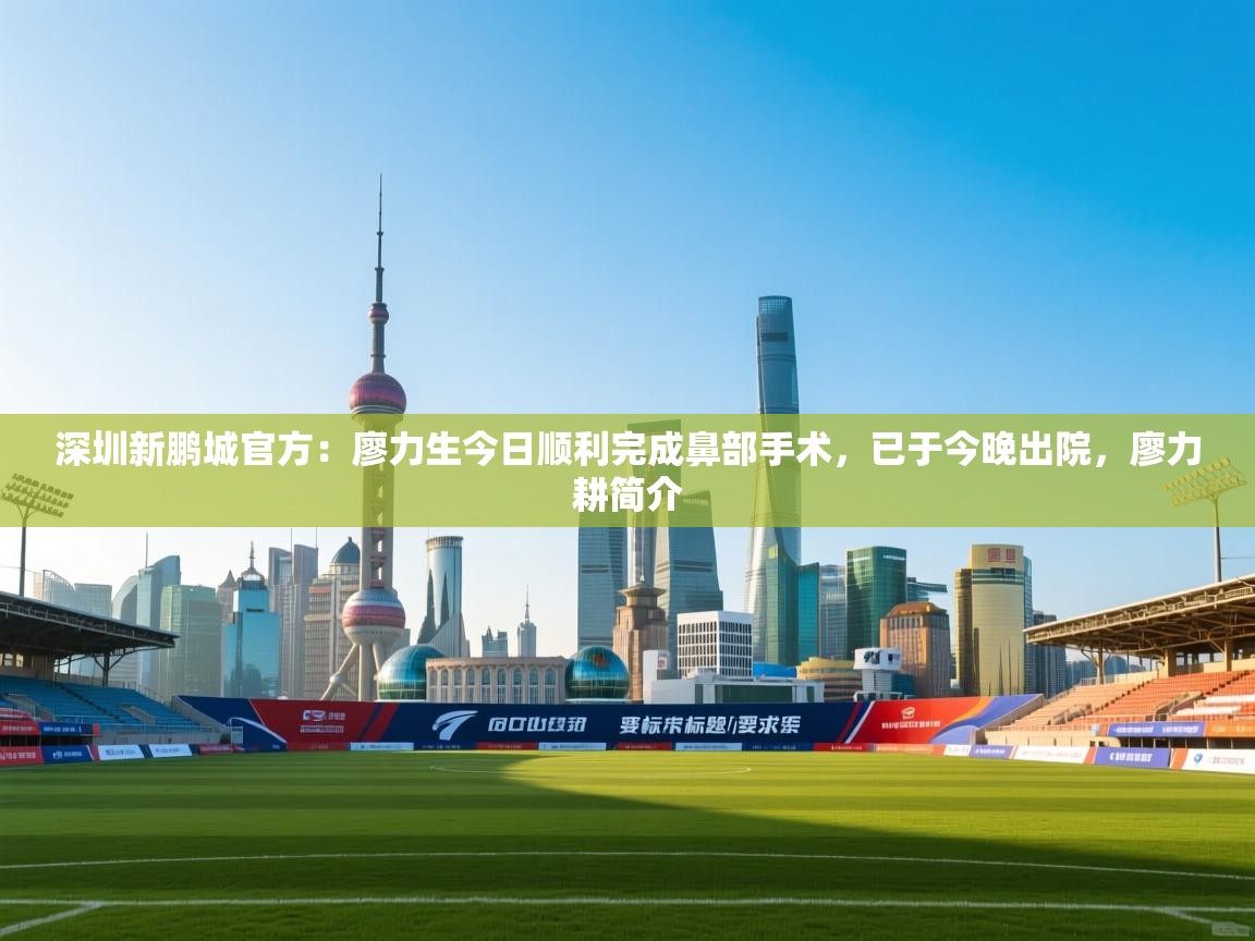 爱游戏直播-深圳新鹏城官方:廖力生今日顺利完成鼻部手术,已于今晚出院,廖力耕简介 第1张