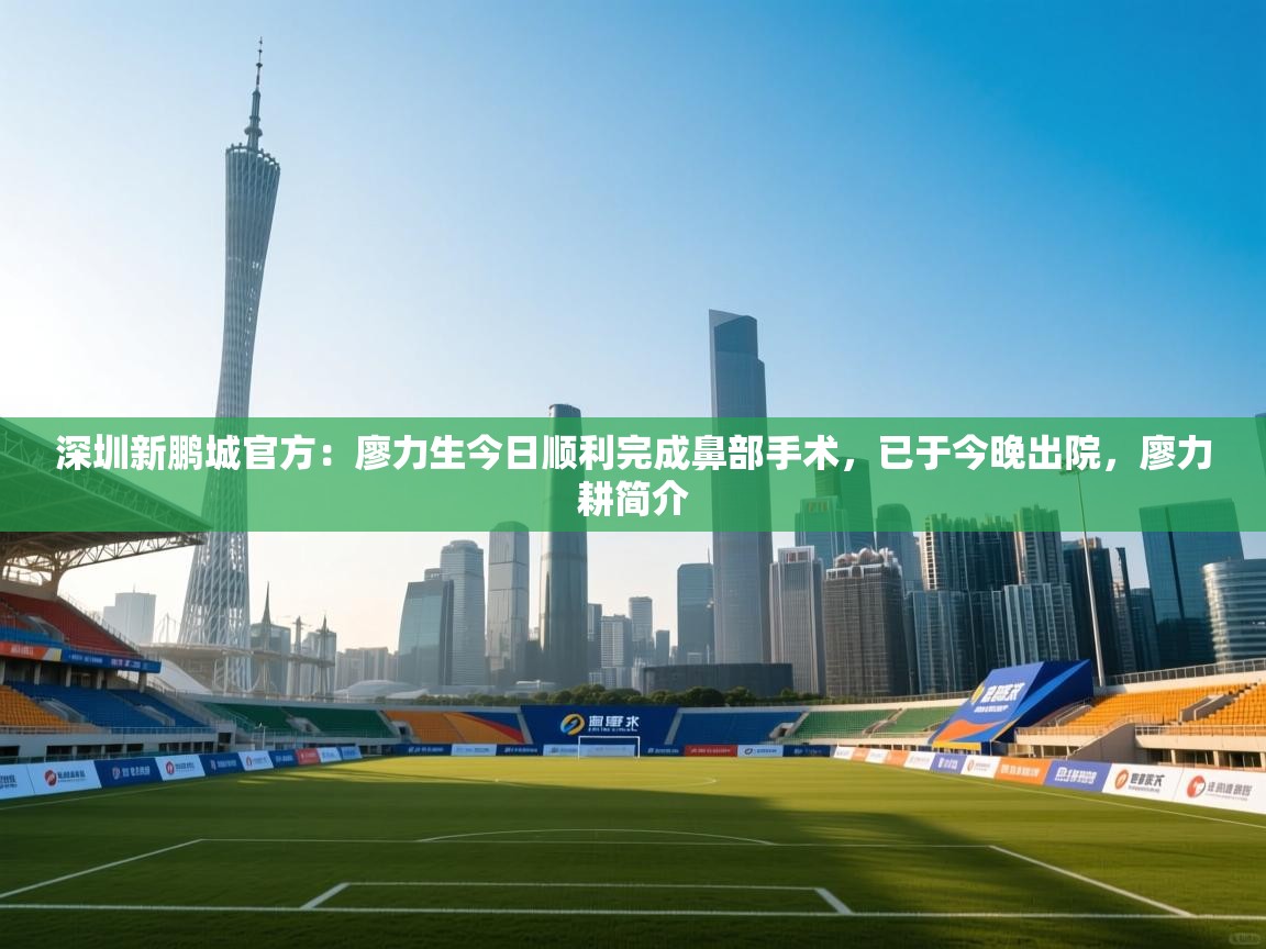 爱游戏直播-深圳新鹏城官方:廖力生今日顺利完成鼻部手术,已于今晚出院,廖力耕简介 第2张