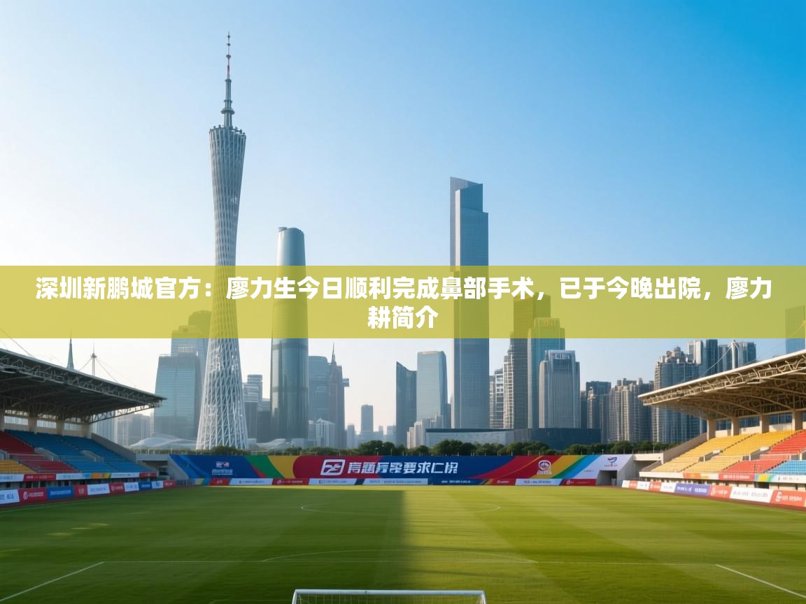 爱游戏直播-深圳新鹏城官方:廖力生今日顺利完成鼻部手术,已于今晚出院,廖力耕简介 第3张