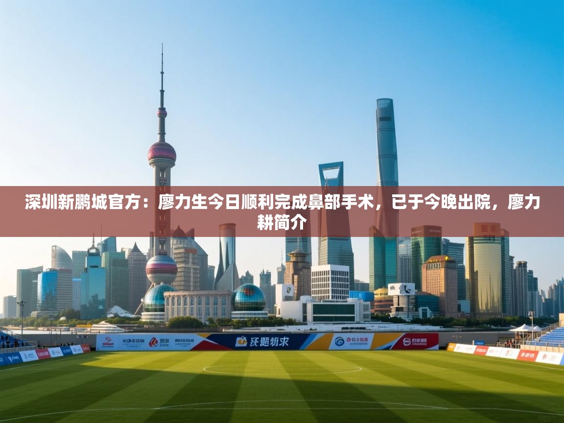 爱游戏直播-深圳新鹏城官方:廖力生今日顺利完成鼻部手术,已于今晚出院,廖力耕简介 第4张